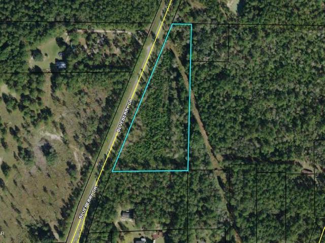 0 Blueberry Dr, Sneads, FL 32460 | MLS #698991