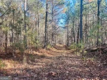 0 BLUFF SPRINGS ROAD, ASHLAND, AL 36251