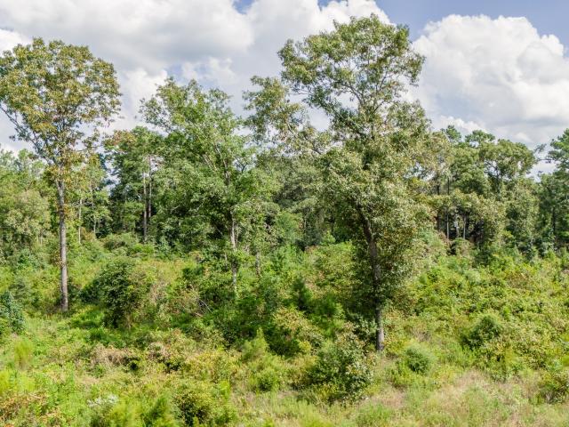 0 BR, 0 BA Apartment 17171 Farm To Market 1097, Willis, TX 77378