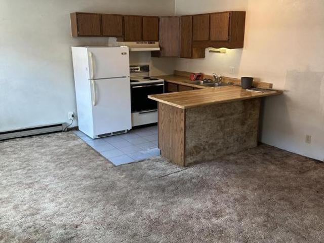 1 BR, 1 BA Apartment 106 Main St #9, Orangeville, IL 61060