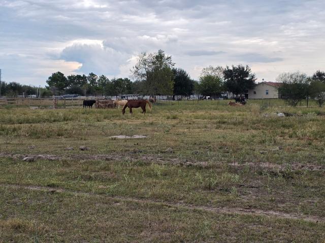 0 BR, 0 BA Apartment 36847 Richard Frey Road, Hempstead, TX 77445