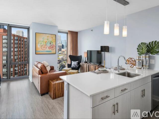 0 BR, 1 BA Apartment 1003 S State St, Unit 2405, Chicago, IL 60605