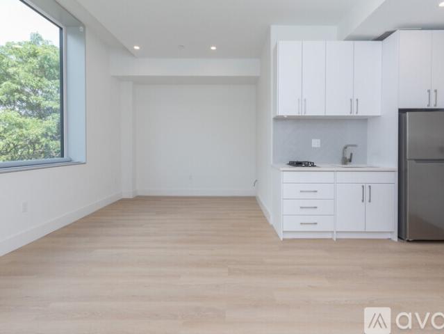 0 BR, 1 BA Apartment 1127 Harrison Street, Unit 204, Boston, MA 02118