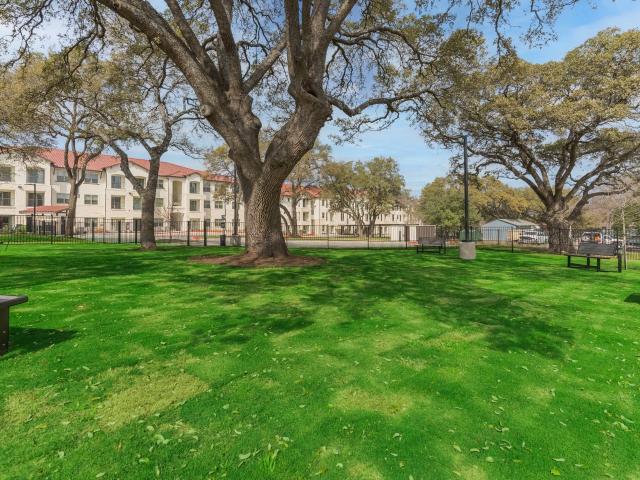 0 BR, 1 BA Apartment 414 E. Wonsley Dr Unit 7317, Austin, TX 78753
