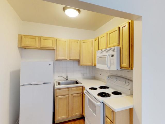 0 BR, 1 BA Apartment 5220 South Drexel Avenue Unit 214, Chicago, IL 60615