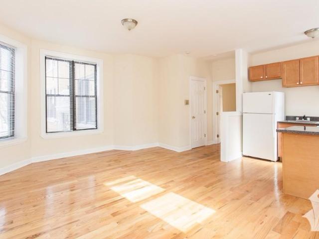 0 BR, 1 BA Apartment 721.5 West Barry Avenue, Chicago, IL 60657