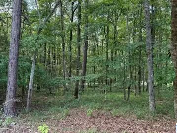 0 BRIDEWELL CIRCLE # LOT 11, MCCALLA, AL 35111