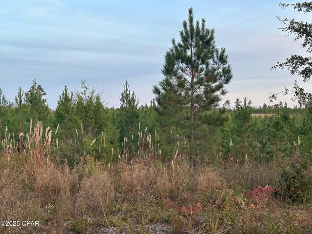 0 Bright Prospect Rd, Marianna, FL 32448 | MLS #782114