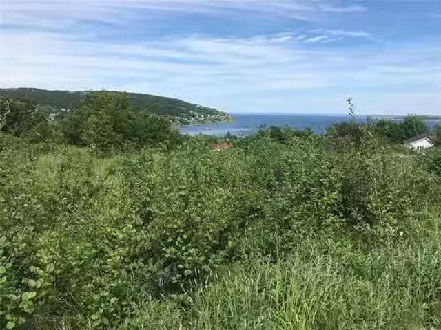 0 Browns Road, Spaniards Bay, NL, A0A 3X0 vacant land for sa.