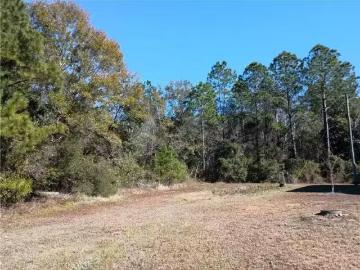 0 BRYANT DRIVE, BAYOU LA BATRE, AL 36509