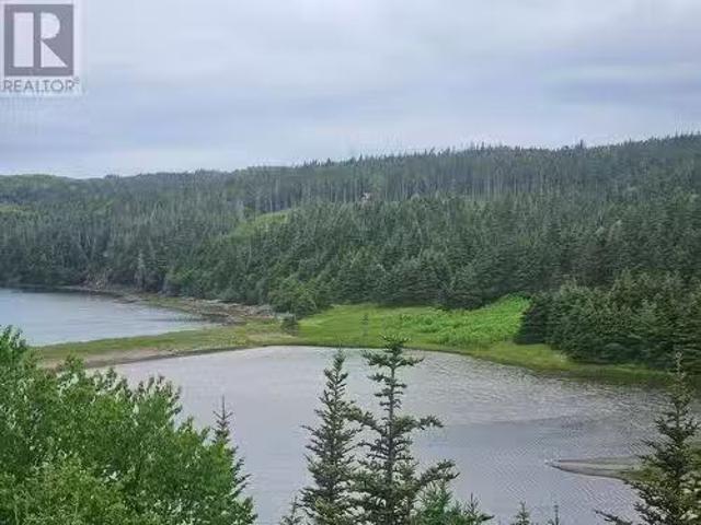 0 Cashel'S Cove S, Spanish Room, NL, A0E 2M0 vacant land for.