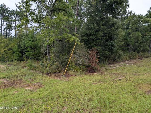 0 Castillo Dr, Alford, FL 32420 | MLS #776877