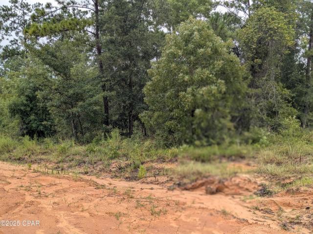 0 Castle Cr Cir, Alford, FL 32420 | MLS #776461