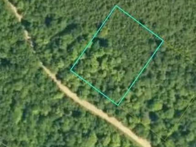 0 Carlin Lane, Davidson Lake, NB, E6G 1T2 vacant land for sa.