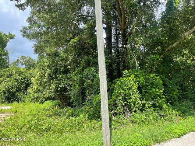 0 Carters Mill Rd, Marianna, FL 32446 | MLS #767171