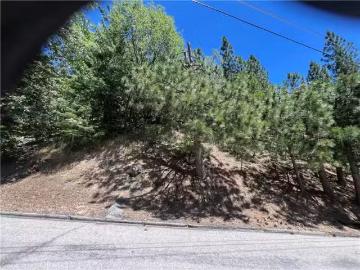 0 CEDAR COURT, ANGELUS OAKS, CA 92305