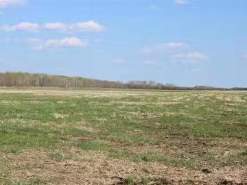 0 Cedar Lake Road, Vivian, MB, R5L 0A3 farm for sale Listin.