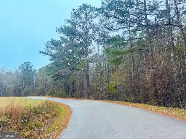 0 CHEAHA ROAD # LOT 5, MUNFURD, AL 36268