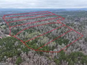 0 CHEAHA ROAD # LOT 6, MUNFURD, AL 36268