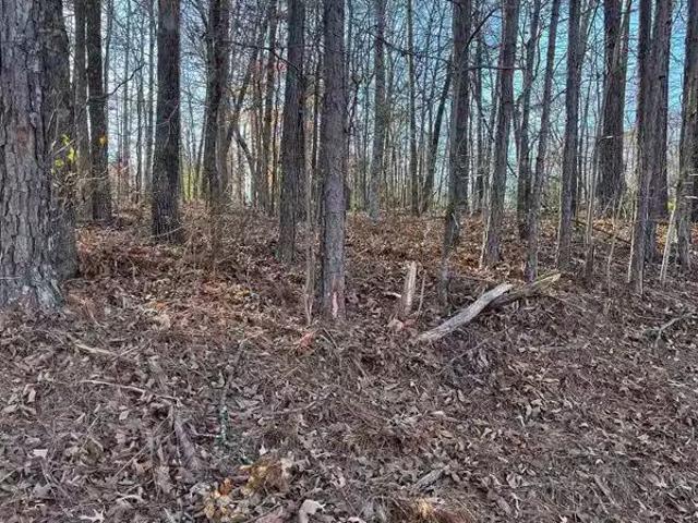 0 COMANCHE TRAIL # 0, ANNISTON, AL 36206
