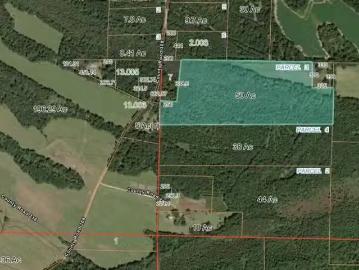 0 COUNTY ROAD 308, VALLEY GRANDE, AL 36701