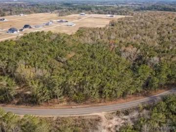 0 COUNTY ROAD 603, NEW BROCKTON, AL 36351