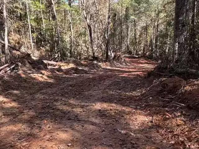 0 COUNTY ROAD 9 # 1, WEST BLOCTON, AL 35184