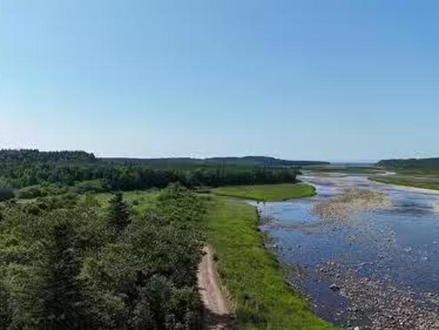 0 Crabbs River Road, St Fintans, NL, A0N 1Z0 vacant land for.