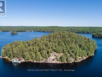 0 Crown Island, Huntsville, ON, P0B 1L0 house for sale | Listing ID X12908 | Royal LePage
