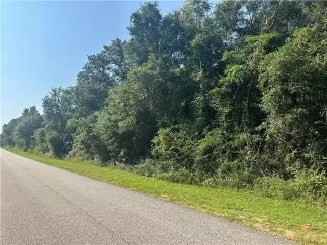 0 DANNER ROAD, WILMER, AL 36587