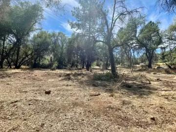 0 DARBY ROAD, BANGOR, CA 95914