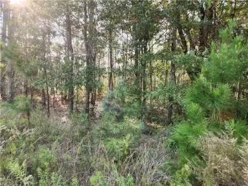 0 DAUPHIN ISLAND PARKWAY, CODEN, AL 36523