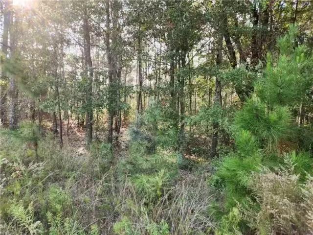 0 DAUPHIN ISLAND PARKWAY, CODEN, AL 36523