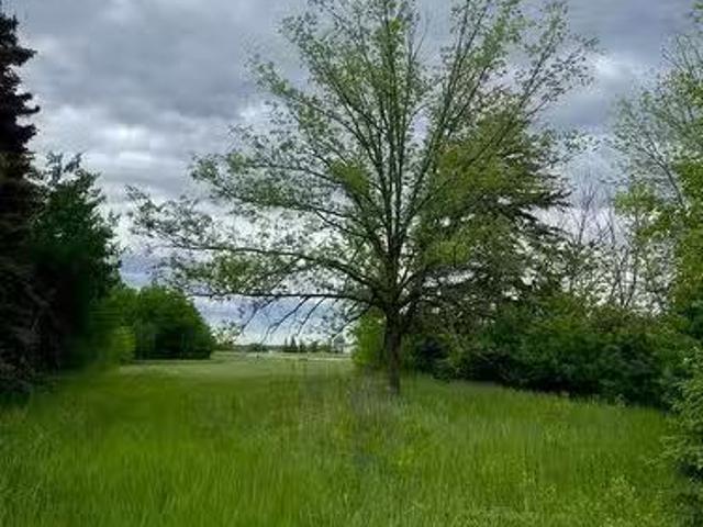 0 David Street, Bifrost Rm, MB, R0C 0A0 vacant land for sale.