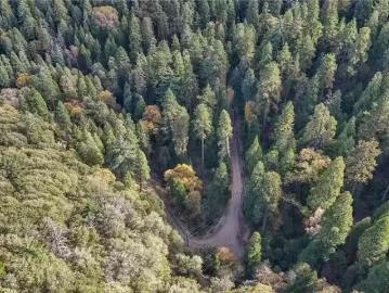 0 DEER RUN ROAD, CEDARPINES PARK, CA 92322
