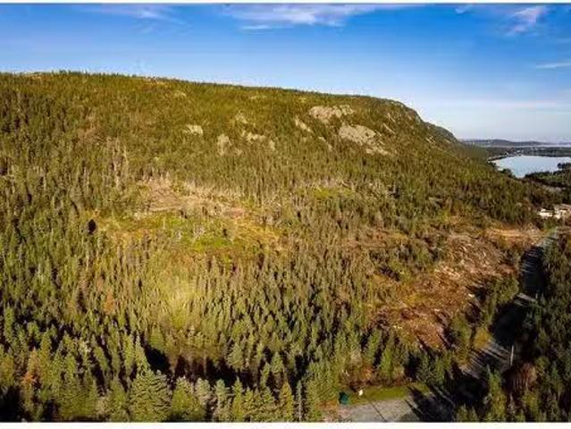 0 Drockety Road, Emerald Vale, NL, A0A 2X0 vacant land for s.