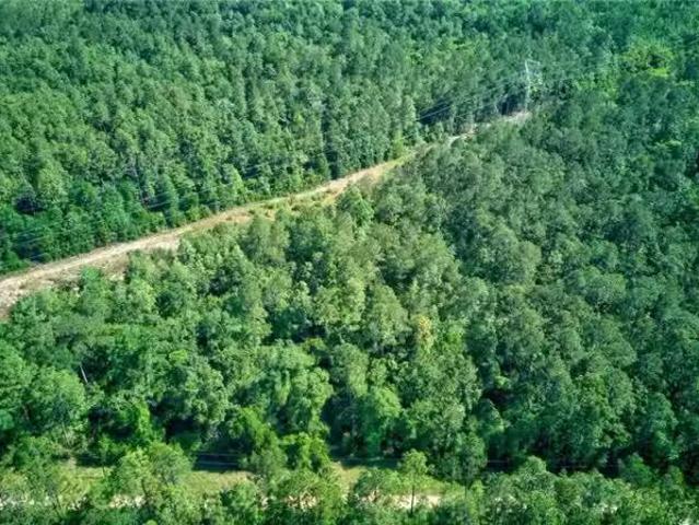 0 EVANS ROAD, MOBILE, AL 36521