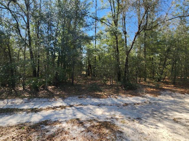 0 Edgewood Rd, Fountain, FL 32438 | MLS #787044