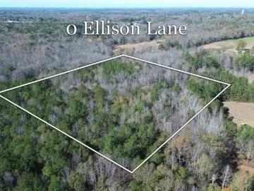 0 ELLISON ROAD # 1, JEMISON, AL 35085