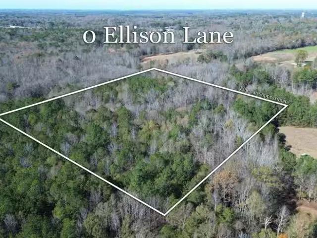 0 ELLISON ROAD # 1, JEMISON, AL 35085