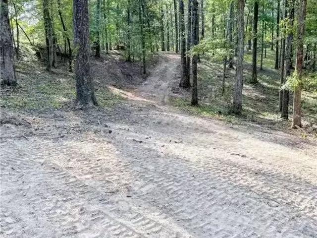 0 FRANK LARY ROAD, NORTHPORT, AL 35475