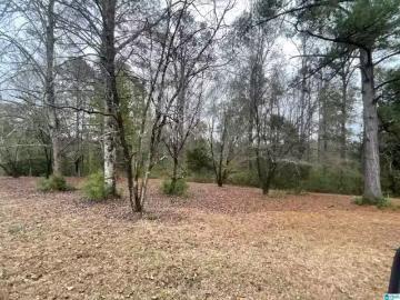 0 FRIENDSHIP CIRCLE # 0, CLANTON, AL 35045