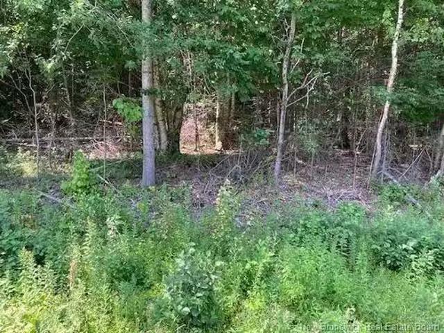 0 Frye Rd, Chamcook, NB, E5B 3R6 vacant land for sale Listi.