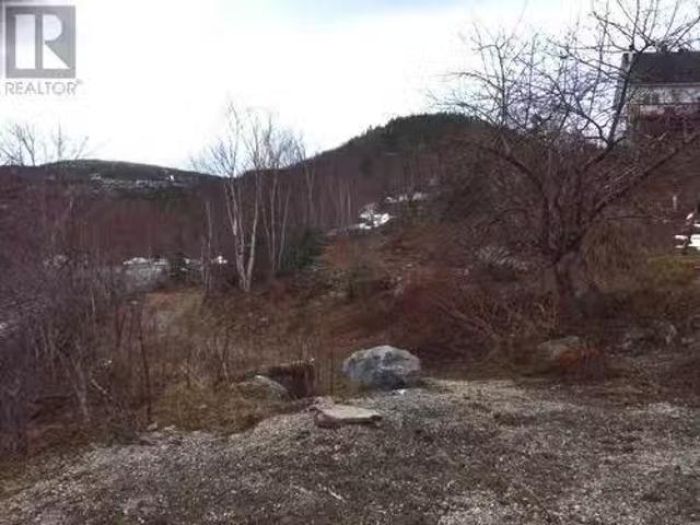 0 Gale Street, Corner Brook, NL, A2H 5R5 vacant land for sal.