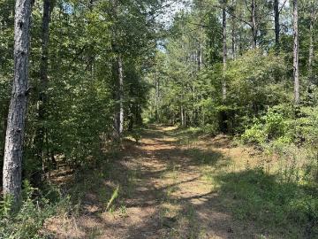 Amite County, Mississippi, USA