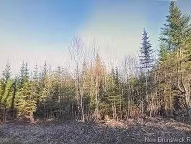 0 Haggertys Cove Rd, New River Beach, NB, E5J 1J5 vacant lan.
