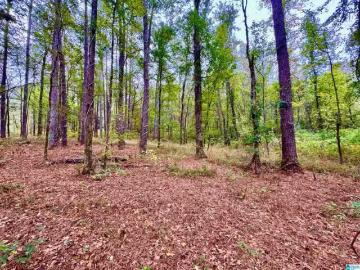 Columbiana city, Columbiana CCD Shelby County Alabama, Shelby County, Alabama, Alabama, USA