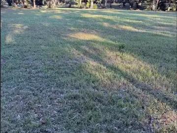 0 HILLVIEW ROAD, MOBILE, AL 36619