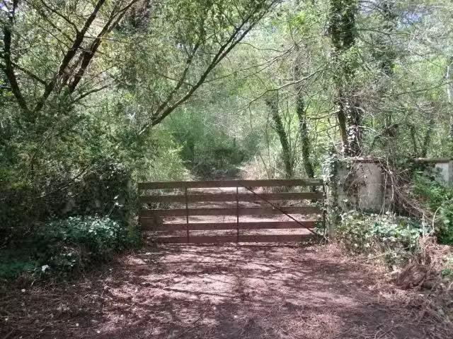 0 HONEYCOMB RD, GRANT, AL 35747