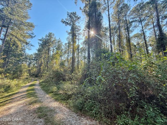 0 Lure Ln, Sneads, FL 32460 | MLS #780502